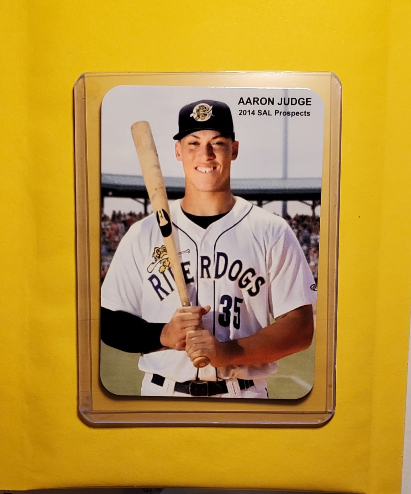2014 Broders Minor League Rookie AARON JUDGE New York Yankees