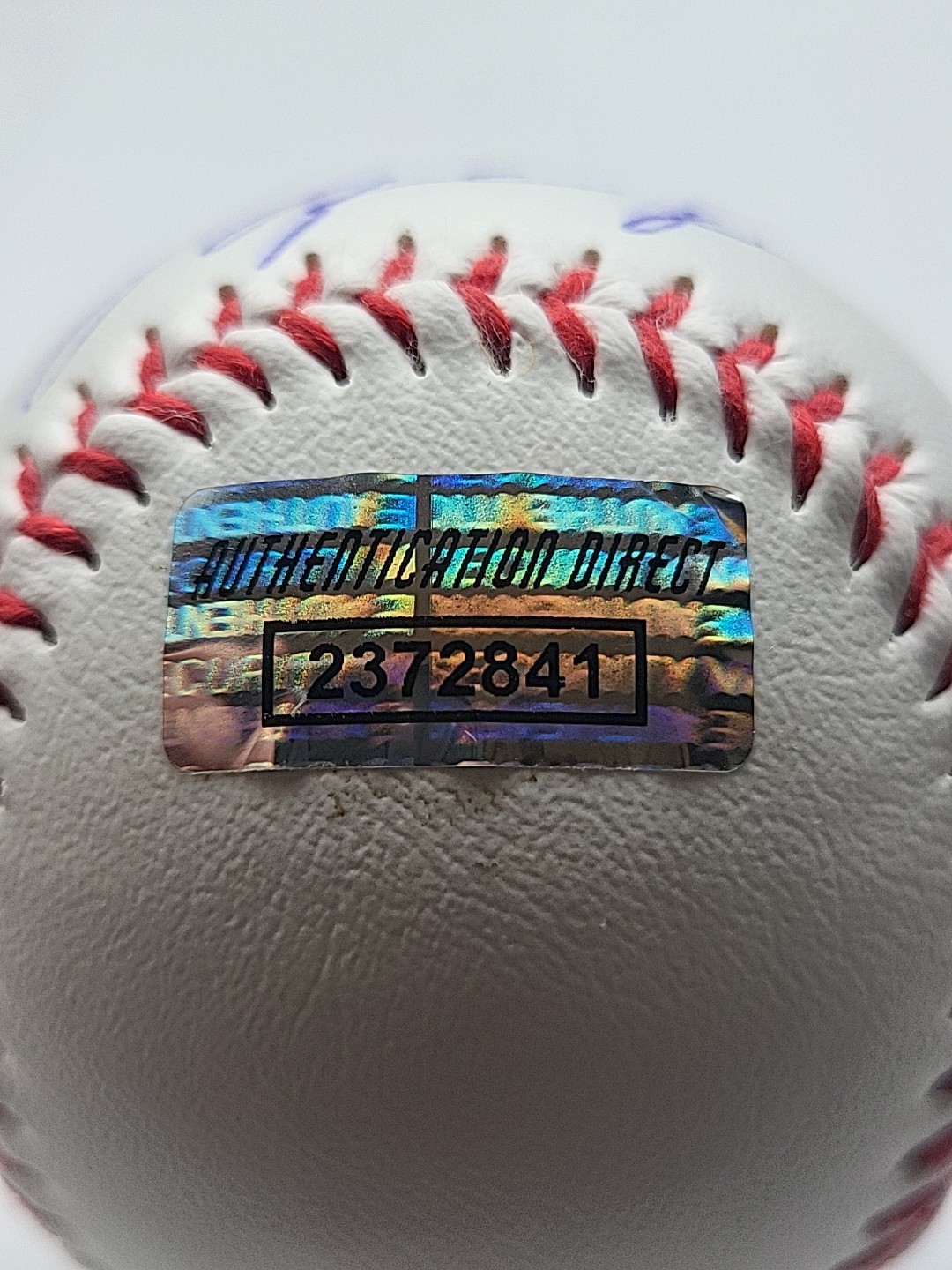 MICHAEL JORDAN Hand-Signed Autographed Baseball W/COA & Protective Case (BULLS)