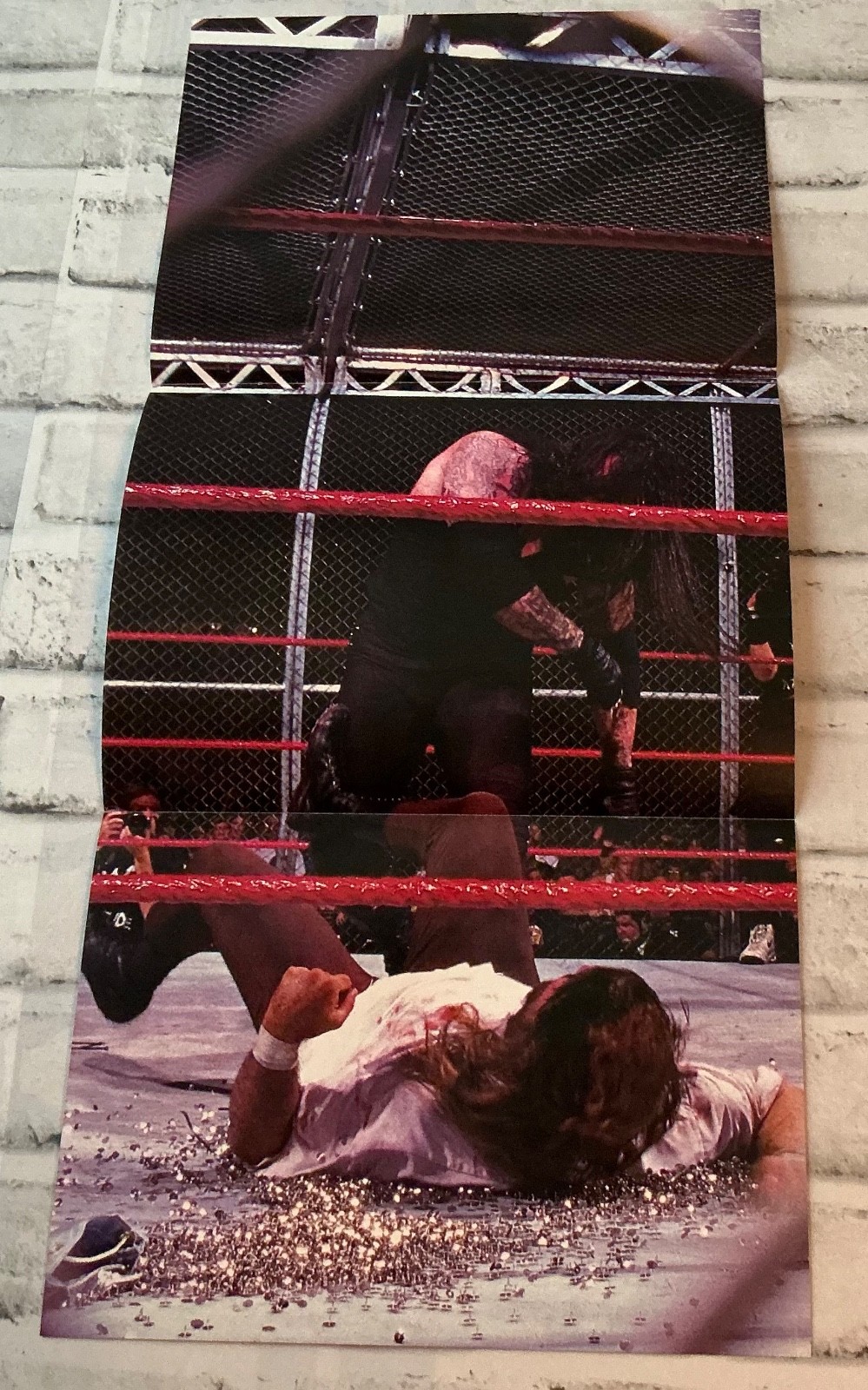 Mick Foley Undertaker Hell In A Cell Thumbtacks 10.5” x 23” Poster Authentic