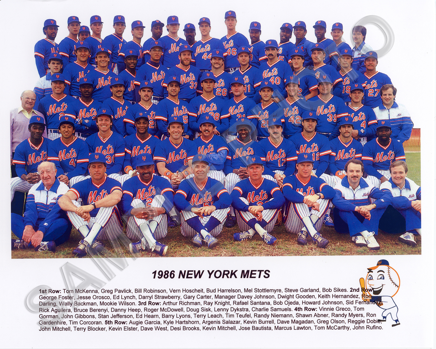 1986 NEW YORK METS WORLD SERIES CHAMPIONS BASEBALL 8×10 TEAM PHOTO