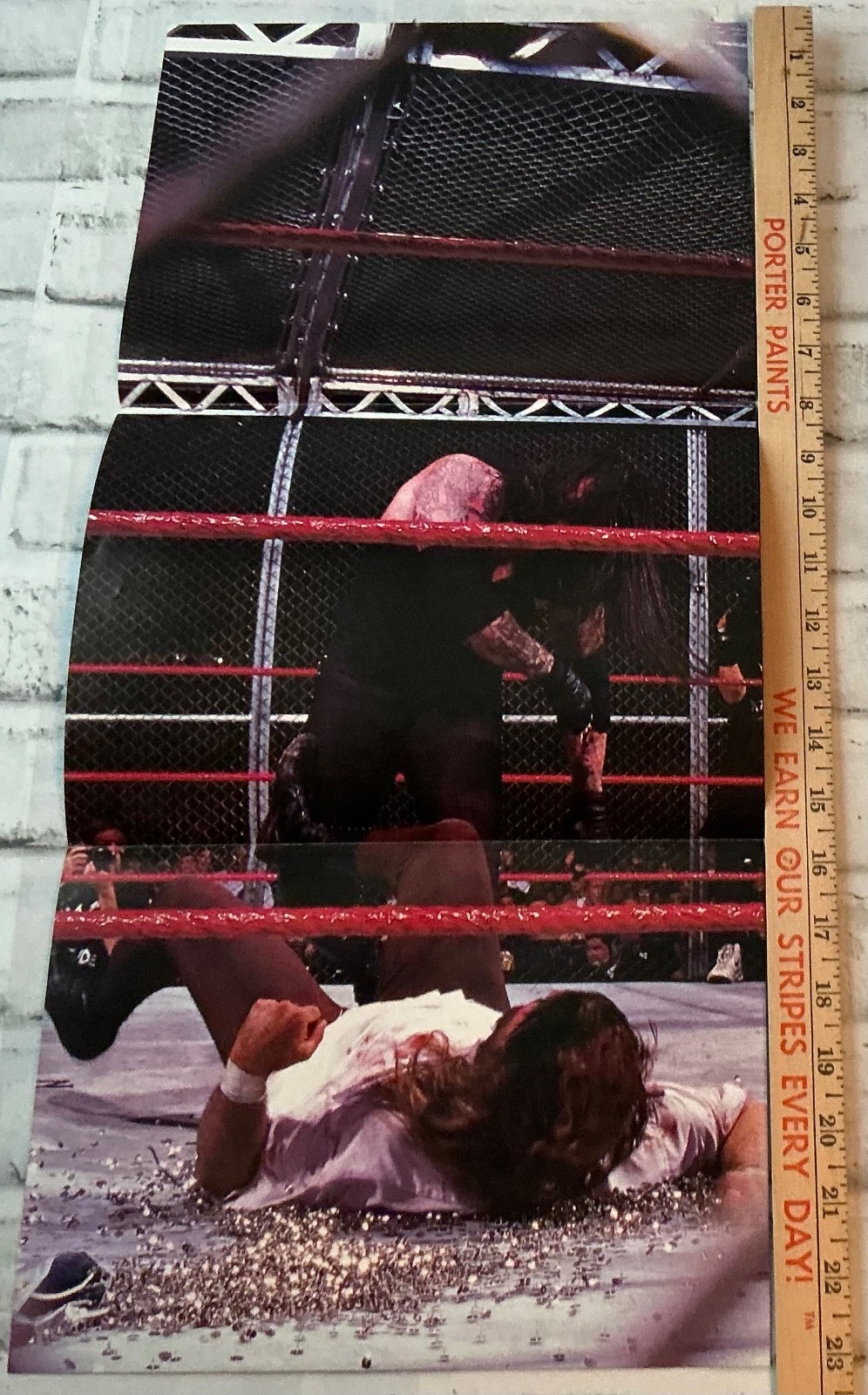Mick Foley Undertaker Hell In A Cell Thumbtacks 10.5” x 23” Poster Authentic
