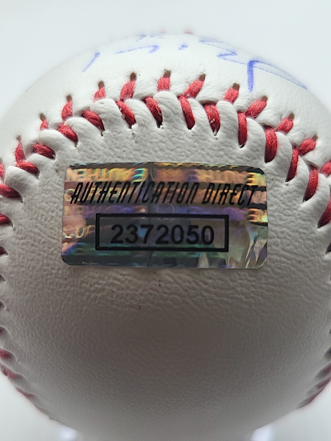 TOM BRADY Hand-Signed Autographed Baseball W/COA and Protective Case (PATRIOTS)