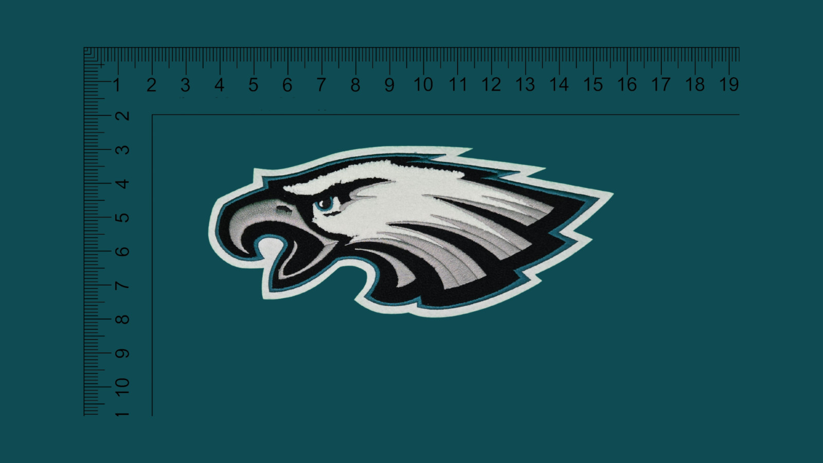 Philadelphia Eagles Chenille Patch Iron-On Huge 12″x5″
