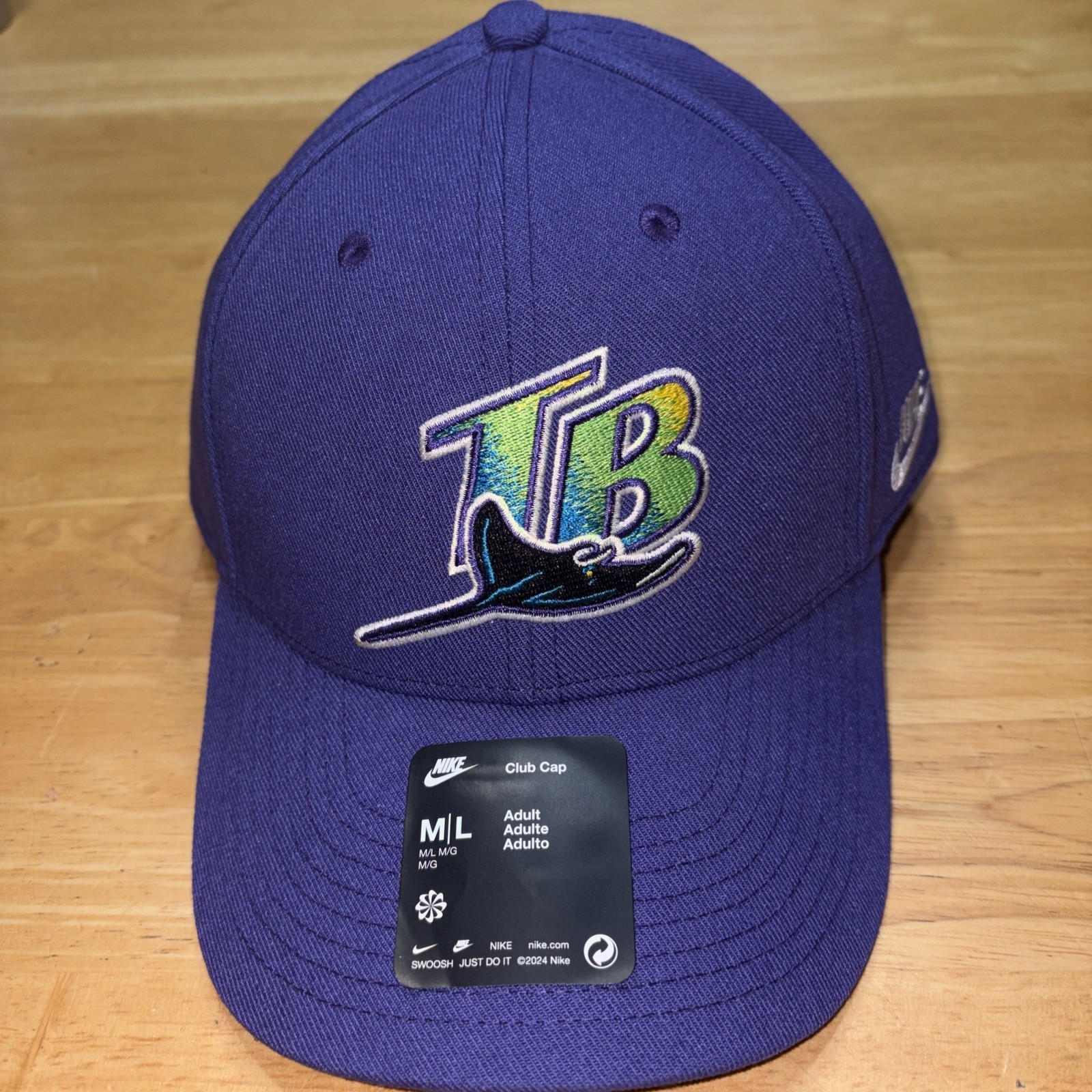 Tampa Bay Devil Rays Hat M/L Strapback Nike Purple Retro Throwback Club Cap NWT