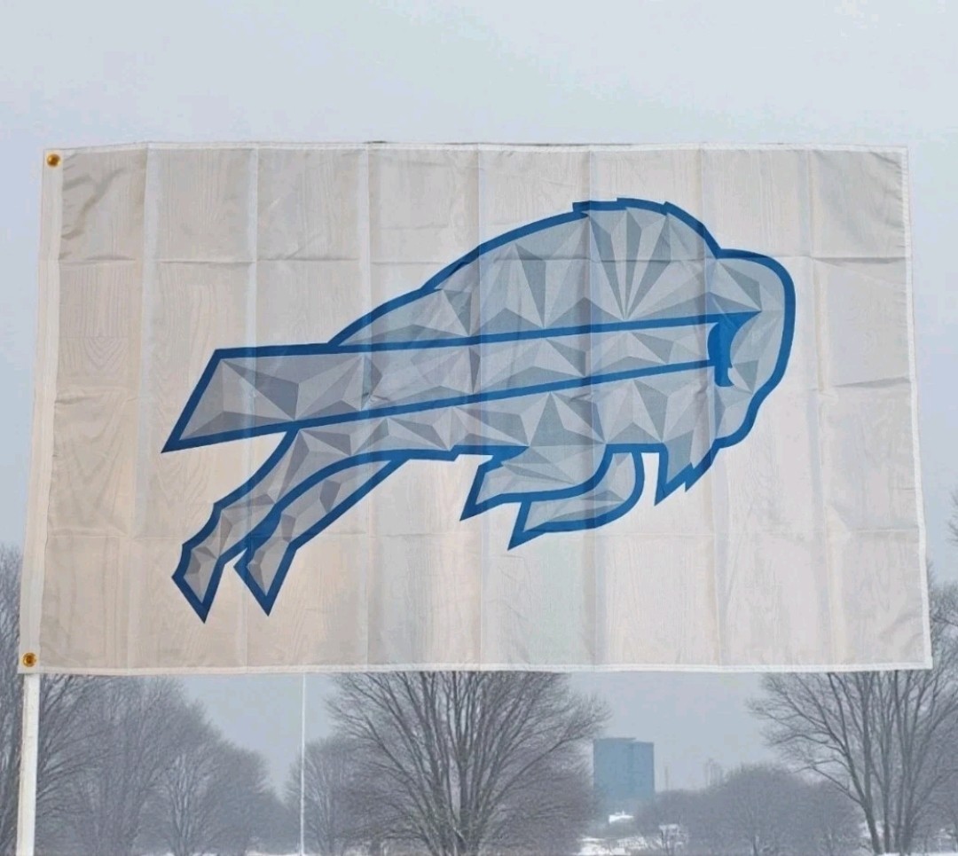 Buffalo Bills Rivalries Flag 3’x5′ Flag NEW FREE SHIPPING