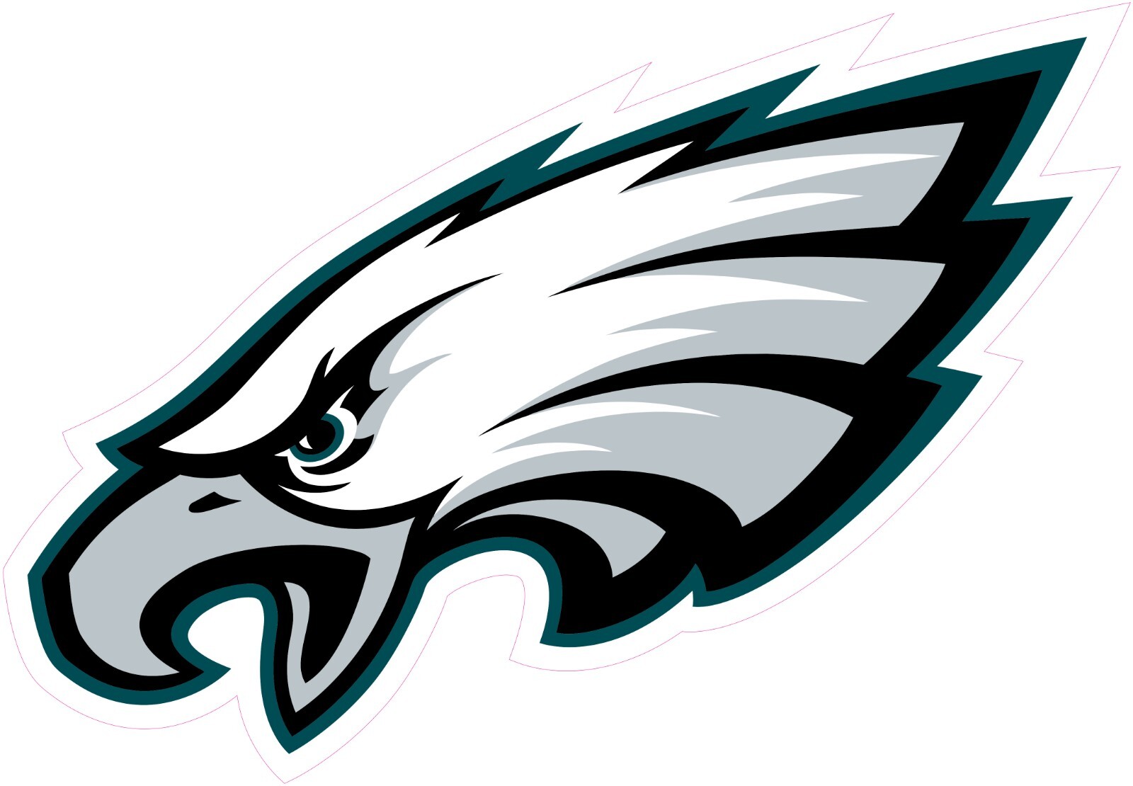 Philadelphia Eagles Football Heat Transfer Vinyl Iron On