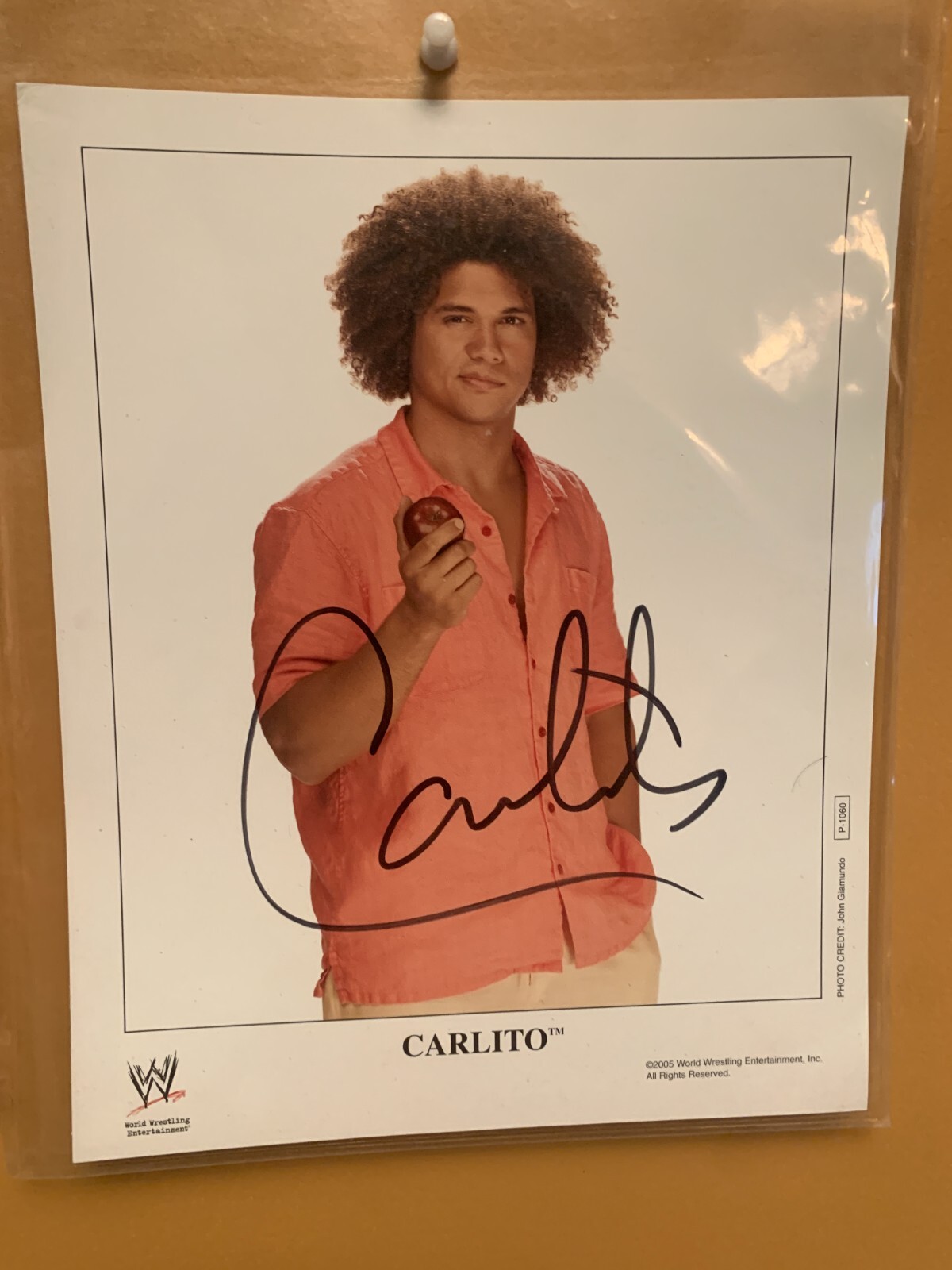 WWE Poster Carlito Cool Official signed rare Poster P-1060