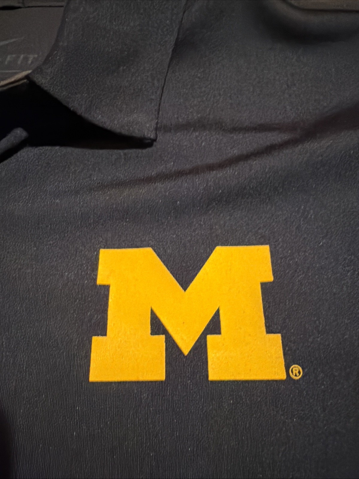 Nike NCAA Michigan Wolverines Evergreen Dri-FIT Polo Sz M 34901X Men’s NWT