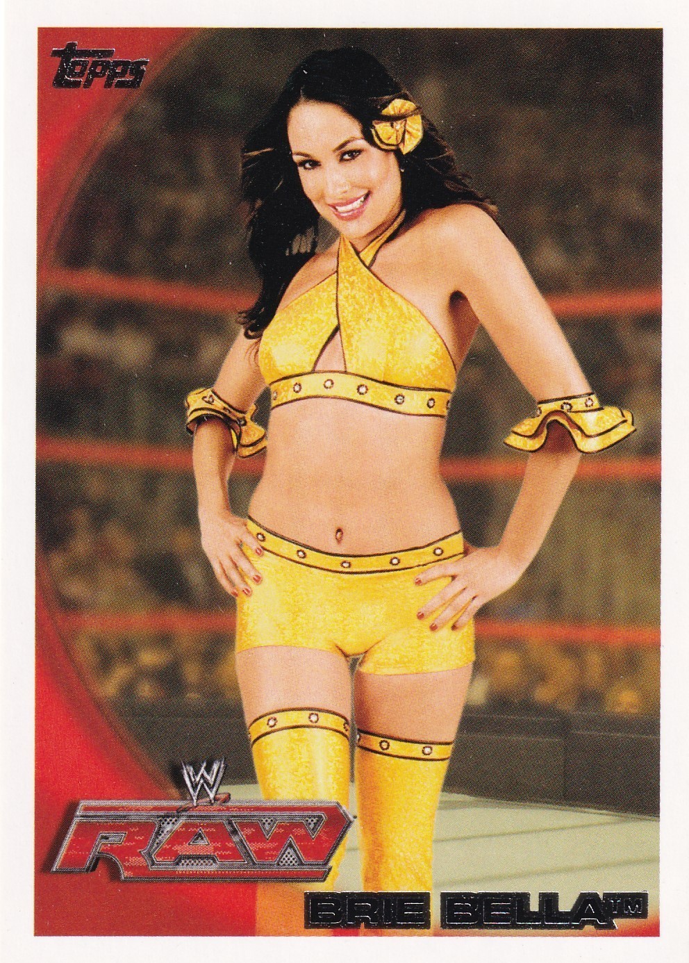 Brie Bella 2010 Topps WWE Card #26 Bella Twins Divas Champion Tag Team Champ FCW