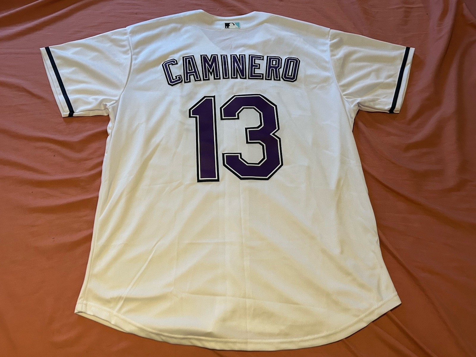 Junior Caminero Tampa Bay Devil Rays Throwback Alternate Jersey Size XL