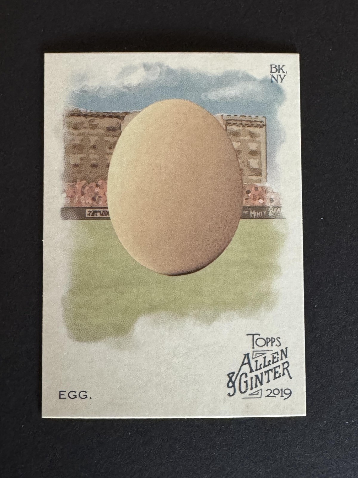 2019 Topps Allen & Ginter #213 Egg