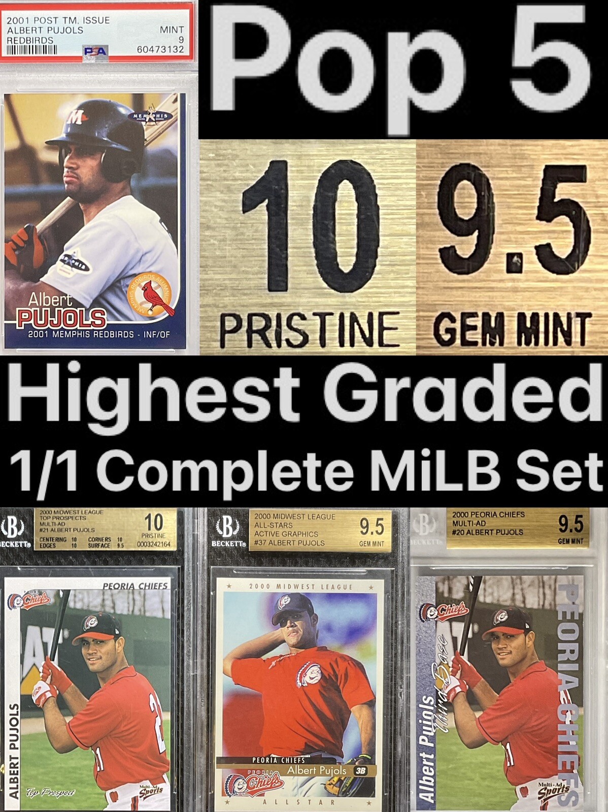 ALL 4 MiLB Albert Pujols 2000 Chiefs BGS 10 Blue BGS 9.5 AS BGS9.5 Memphis PSA 9