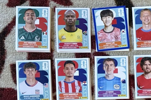 Panini 2026 FIFA World Cup Individual Stickers FWC00-TUN20