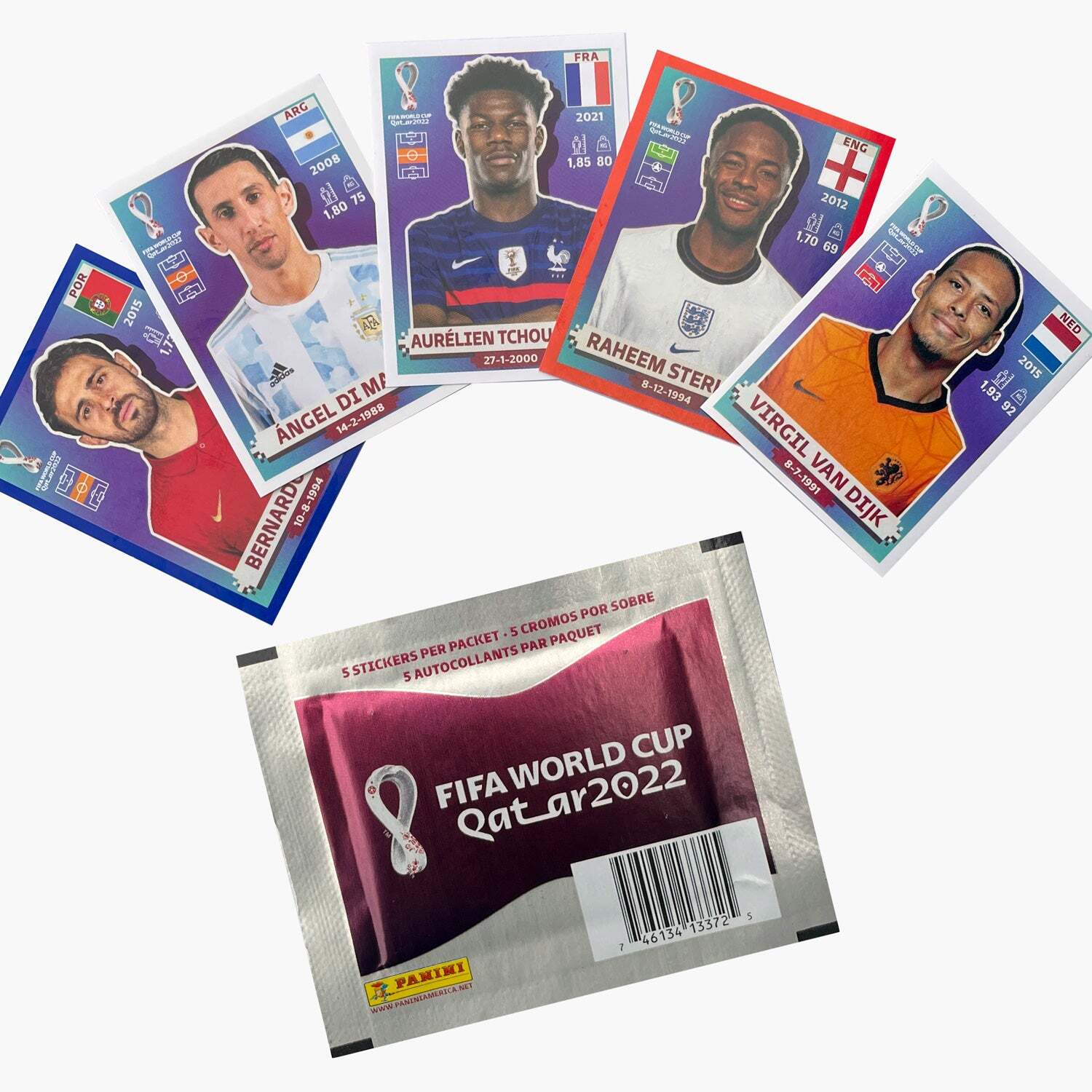 FIFA 2022 WORLD CUP STICKERS