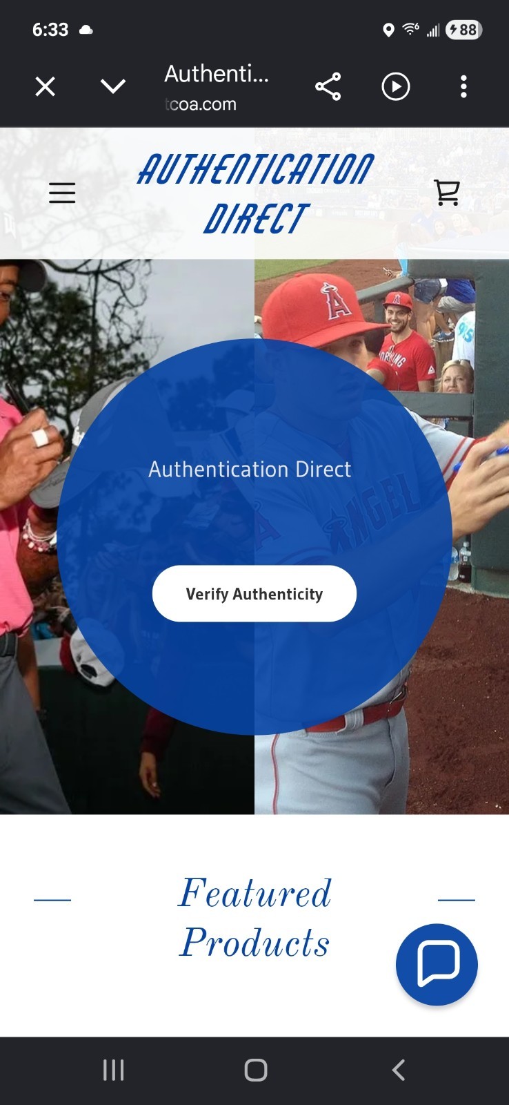 TOM BRADY Hand-Signed Autographed Baseball W/COA and Protective Case (PATRIOTS)