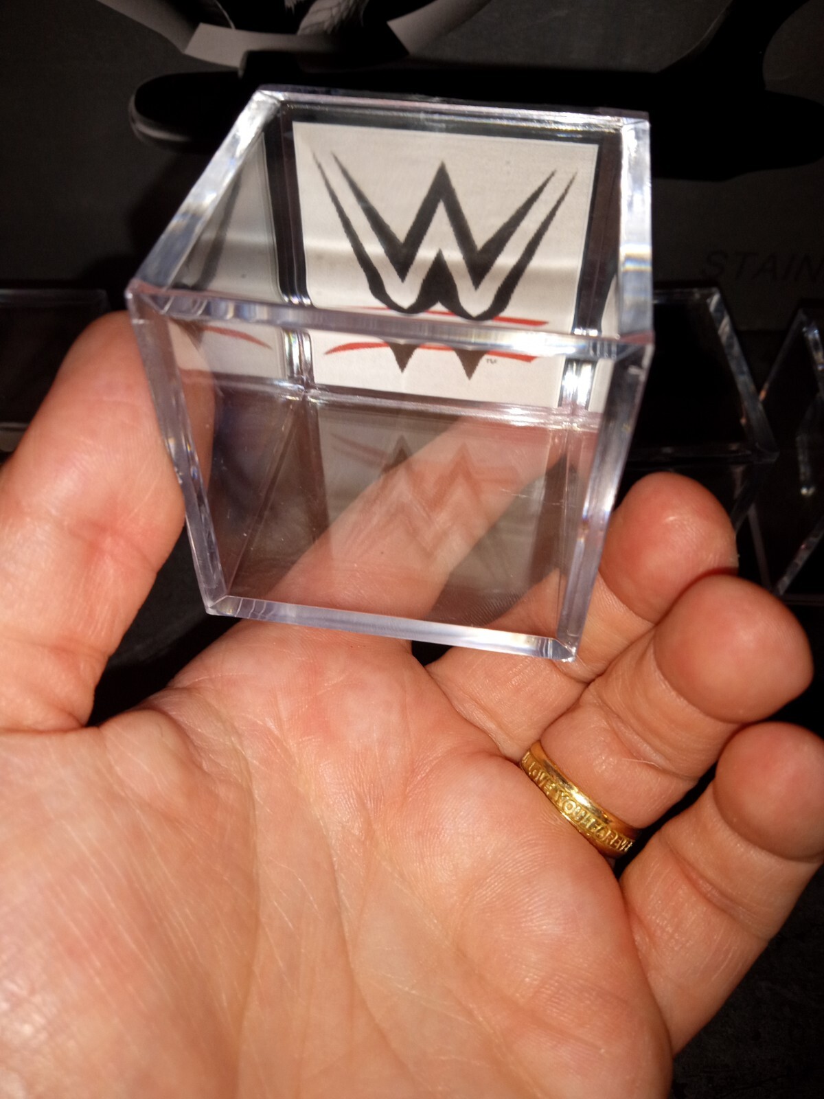 (ONE) WWE Custom HOF Fan Ring Display Case With Stand [Multiple Stands Available