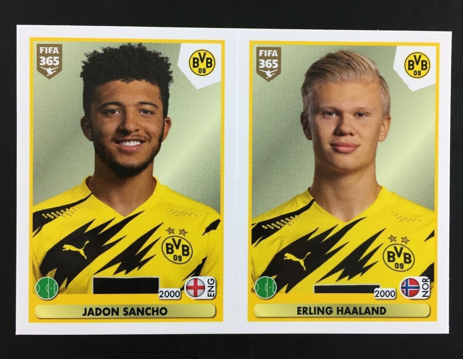 Erling Haaland Jadon Sancho Rookie RC Sticker Panini Fifa 365 2020 21 #181.