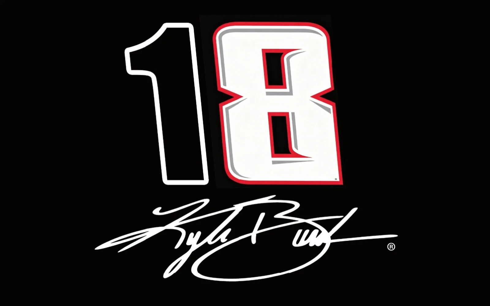 Kyle Busch #18 Team Logo Nascar Car Racing 2×3,3×5,5×8 FT Flag USA Fast Ship