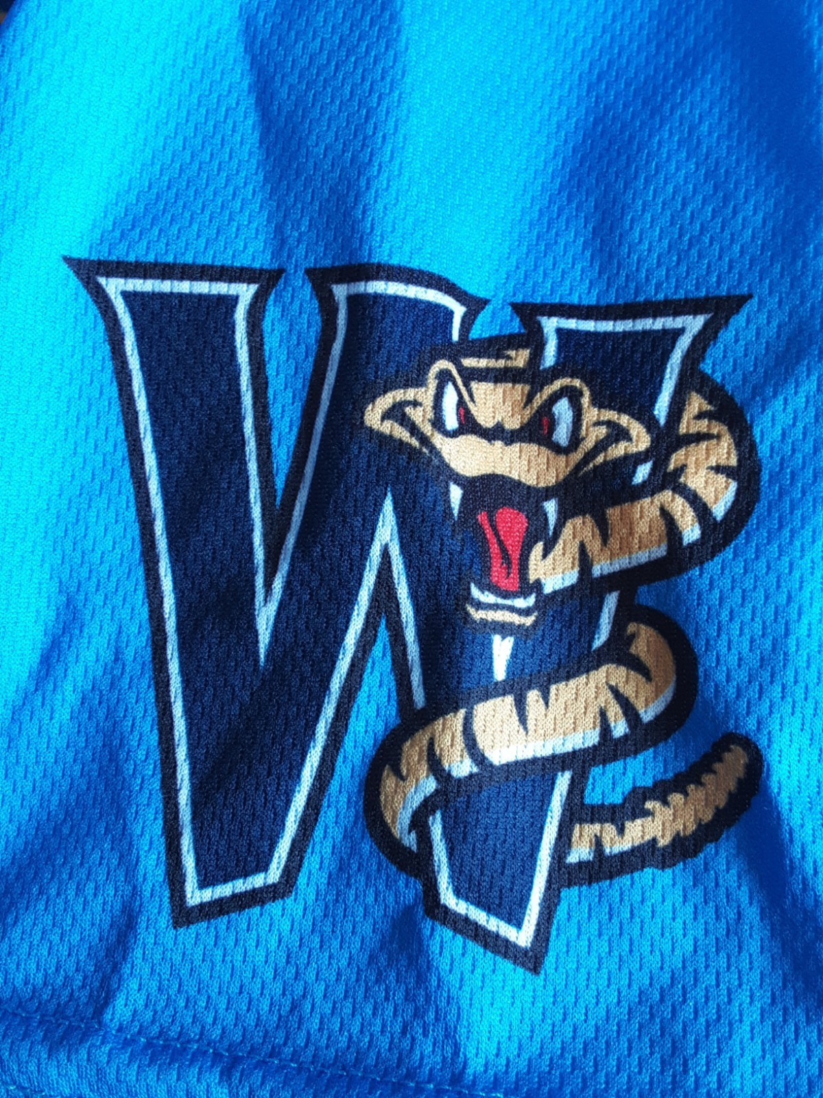 Jackson Chourio *Wisconsin Timber Rattlers Jersey* Brewers SGA 4/6/25 Adult Lrg