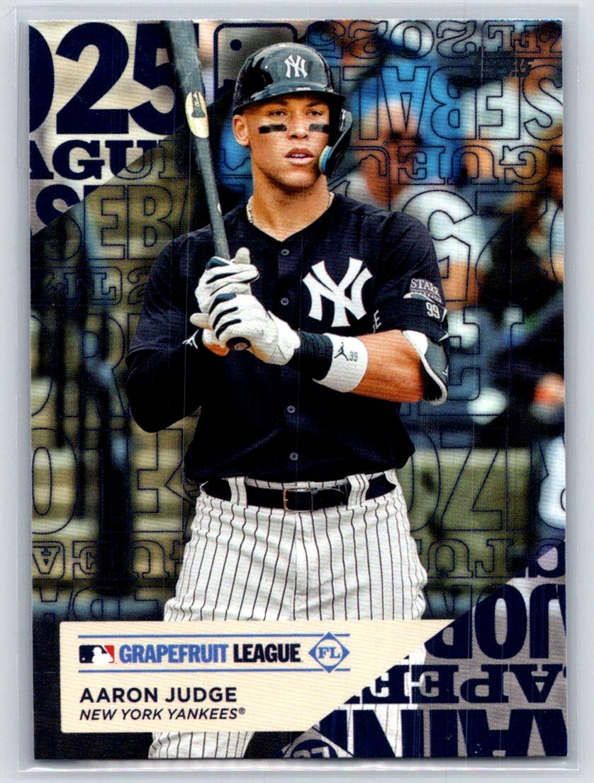 2025 Topps #TG-2 Aaron Judge Training Grounds