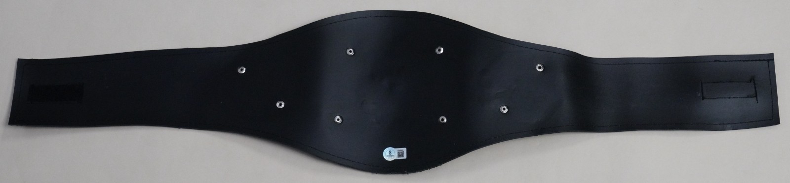El Zorro Signed Lucha Libre AAA Championship Title Belt BAS COA CMLL FCW Auto’d