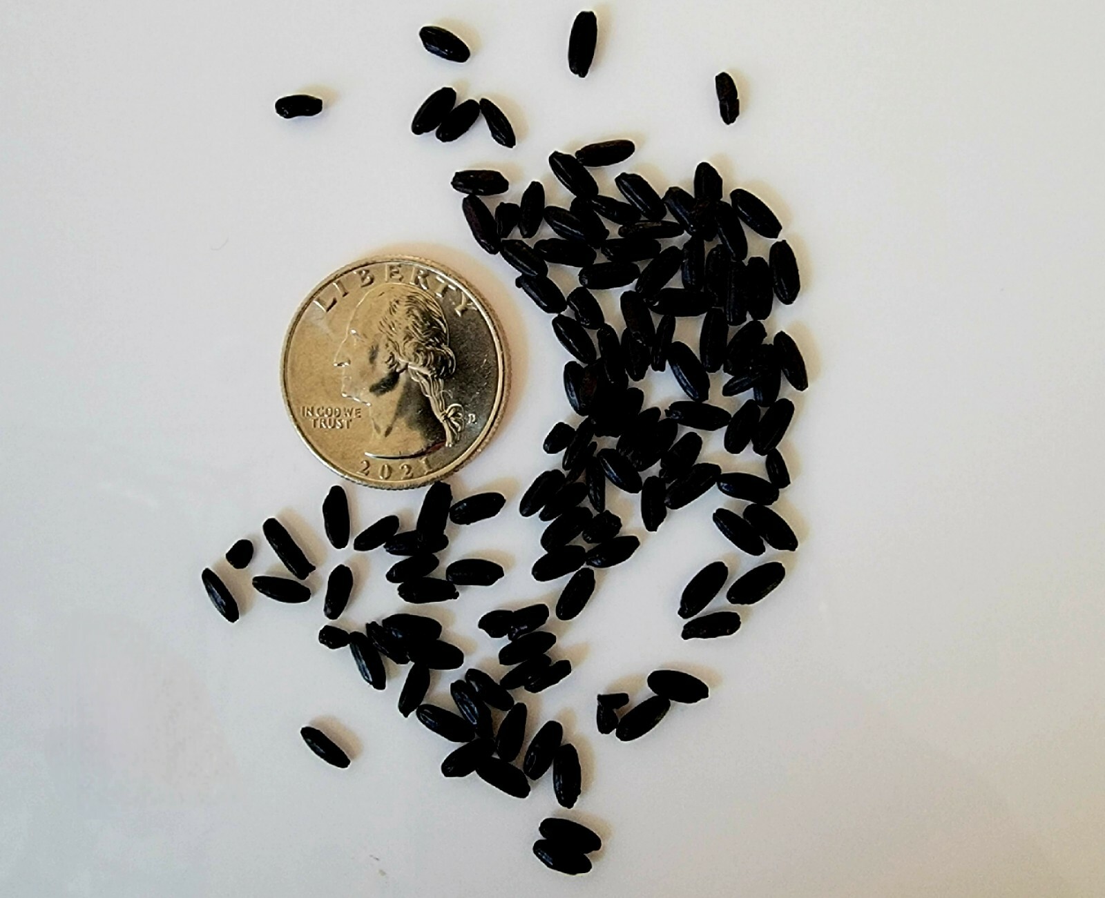 Mouse Poop Simulation 500 Pcs, Fake, Faux, Dorm, Prank, Joke, Droppings, Poo