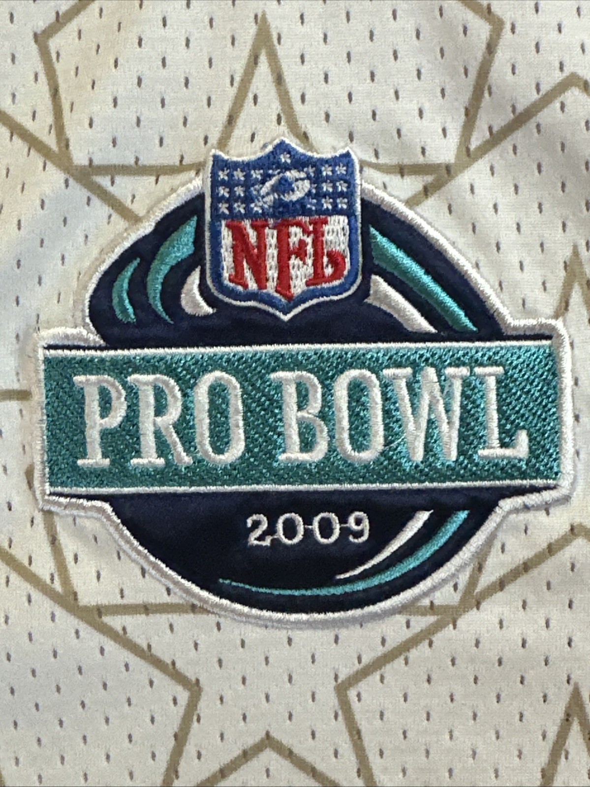RARE Reebok Troy Polamalu Pittsburgh Steelers 2009 Pro Bowl Jersey Size 50