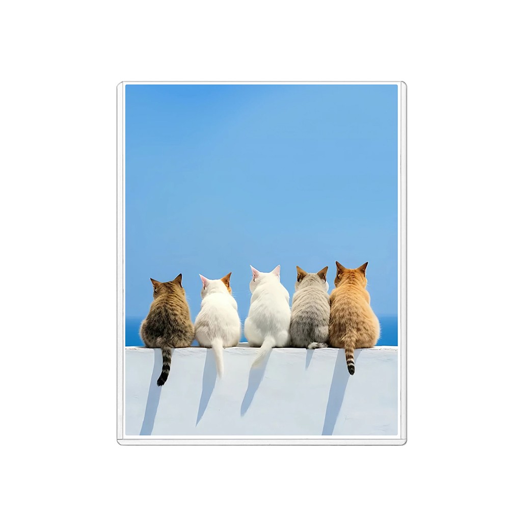 Rigid Print Protector Clear Plastic Sleeves Photo Postcard 4x 6”/ 5x 7”/ 6×9”