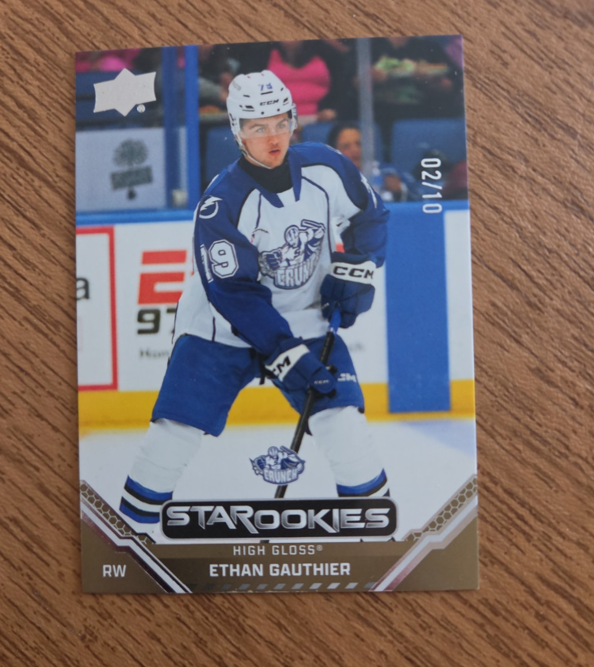 2025/2026 Upper Deck AHL Hockey INSERT/PARALLEL Singles – Create Own Lot