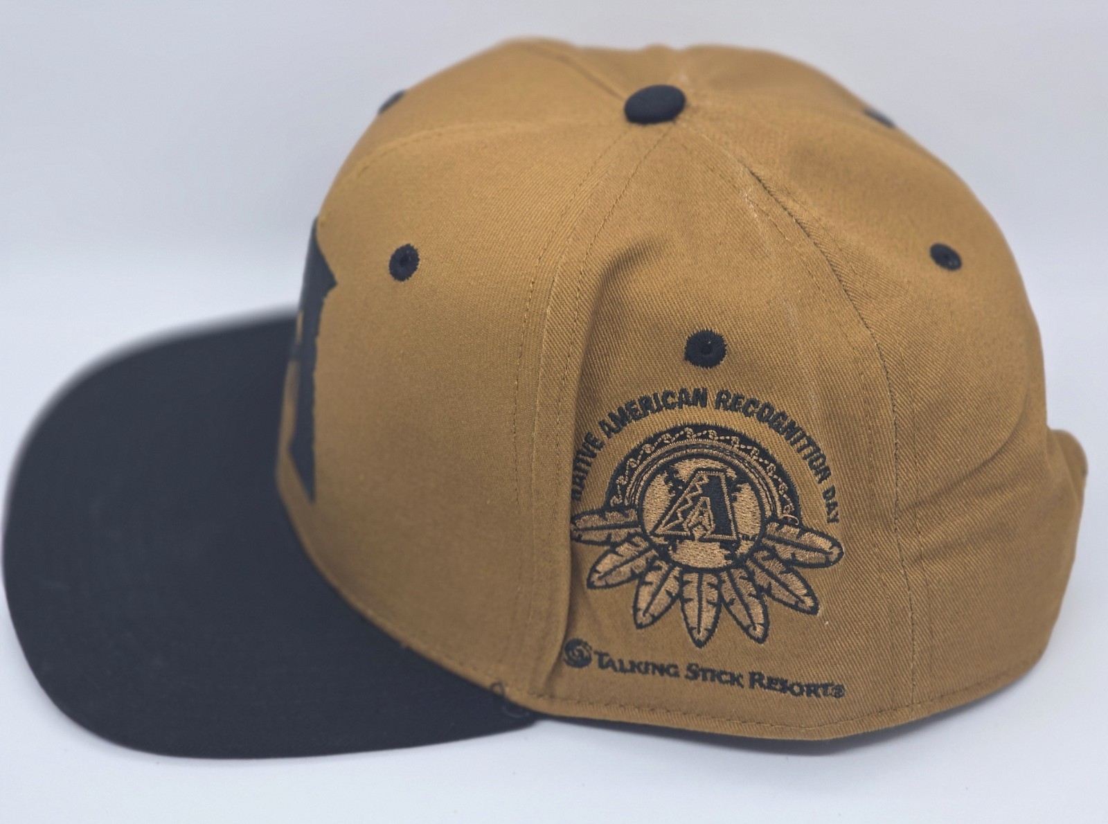 NEW AZ Diamondbacks Native American Recognition Hat Cap D-backs Special 2026 SGA