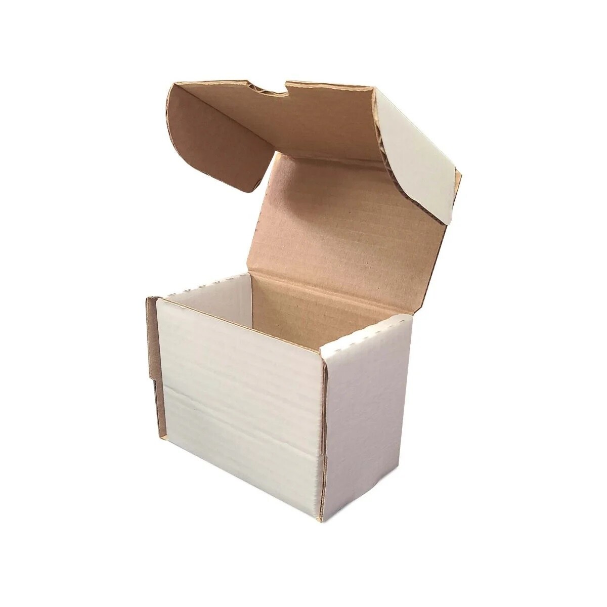 BCW Storage – 5″ Holds 75 Standard Toploaders Stores Cards Standing Up