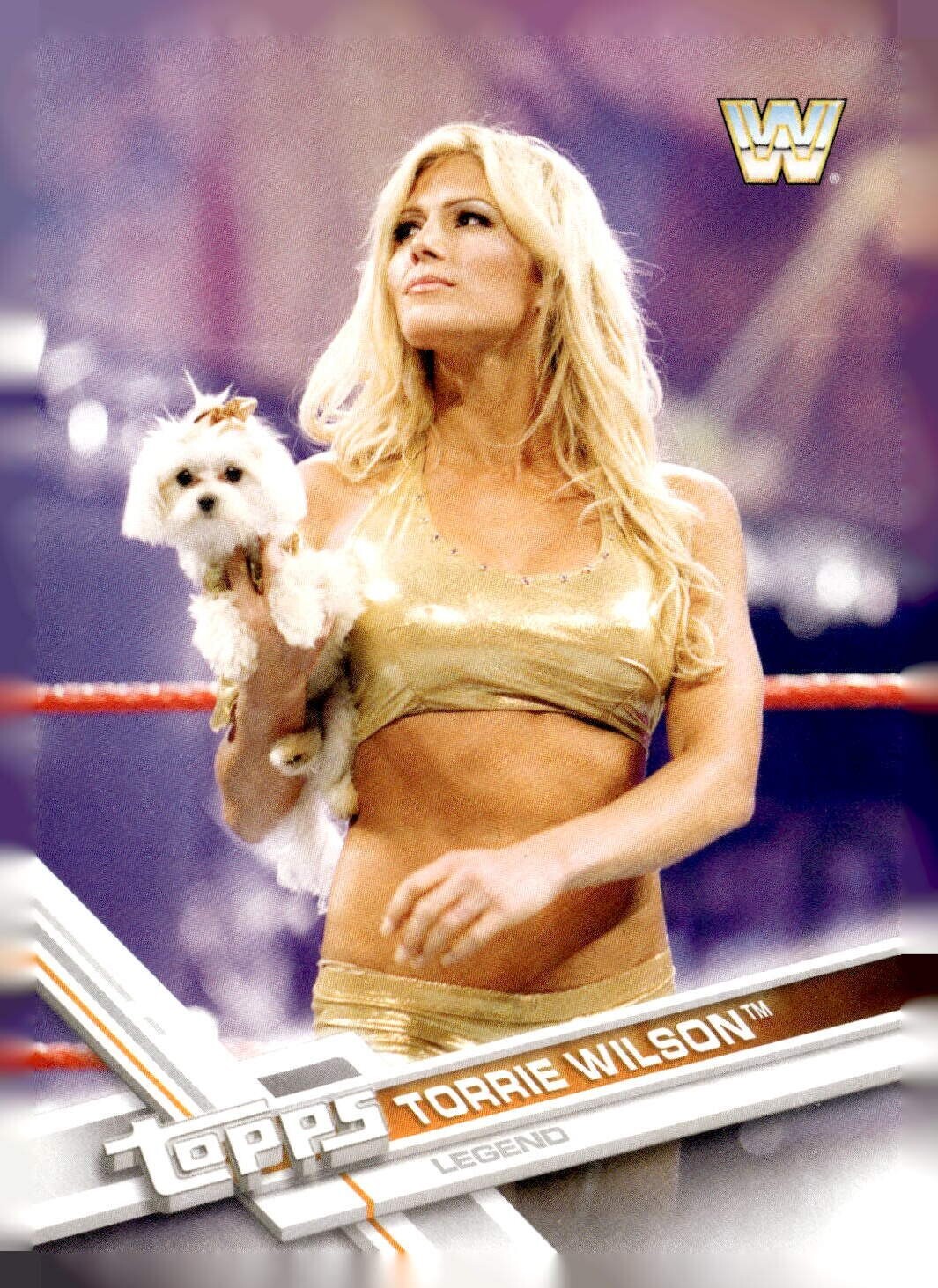 2017 Topps WWE base, bronze and serial num – Complete your set – you pick – pyc