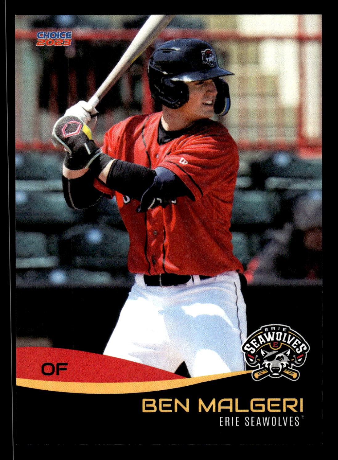 Ben Malgeri 2023 Choice Erie Seawolves #16 Erie Seawolves