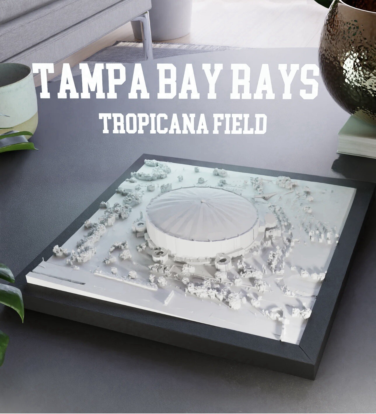 Tampa Bay Rays Tropicana Field Stadium Replica Model MLB 8”x 8” Framed Desk