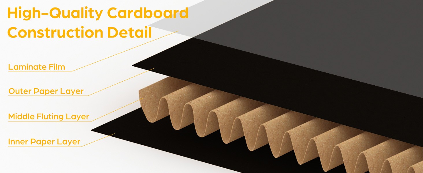 Trading Card Storage Box 12 Drawers Organizer with Dividers for Sports TCG Cards