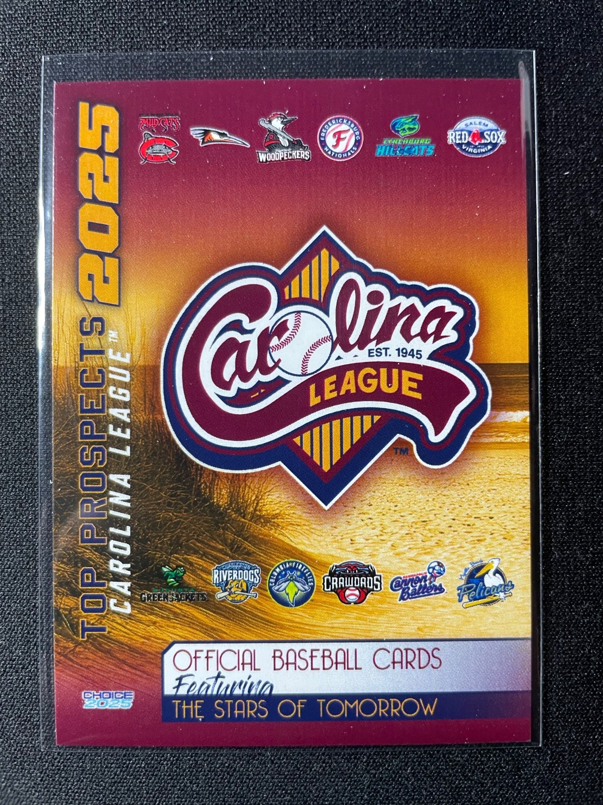 2025 Choice Carolina League Top Prospects Team Set You Pick Free Shipping!!!