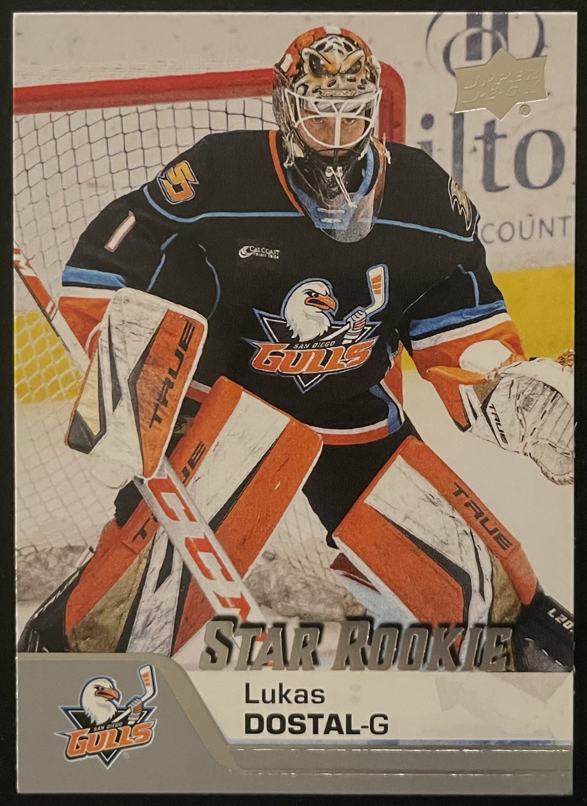 Lukas Dostal Rookie 2020-21 Upper Deck AHL Star Rookies #185 (RC) Anaheim Ducks