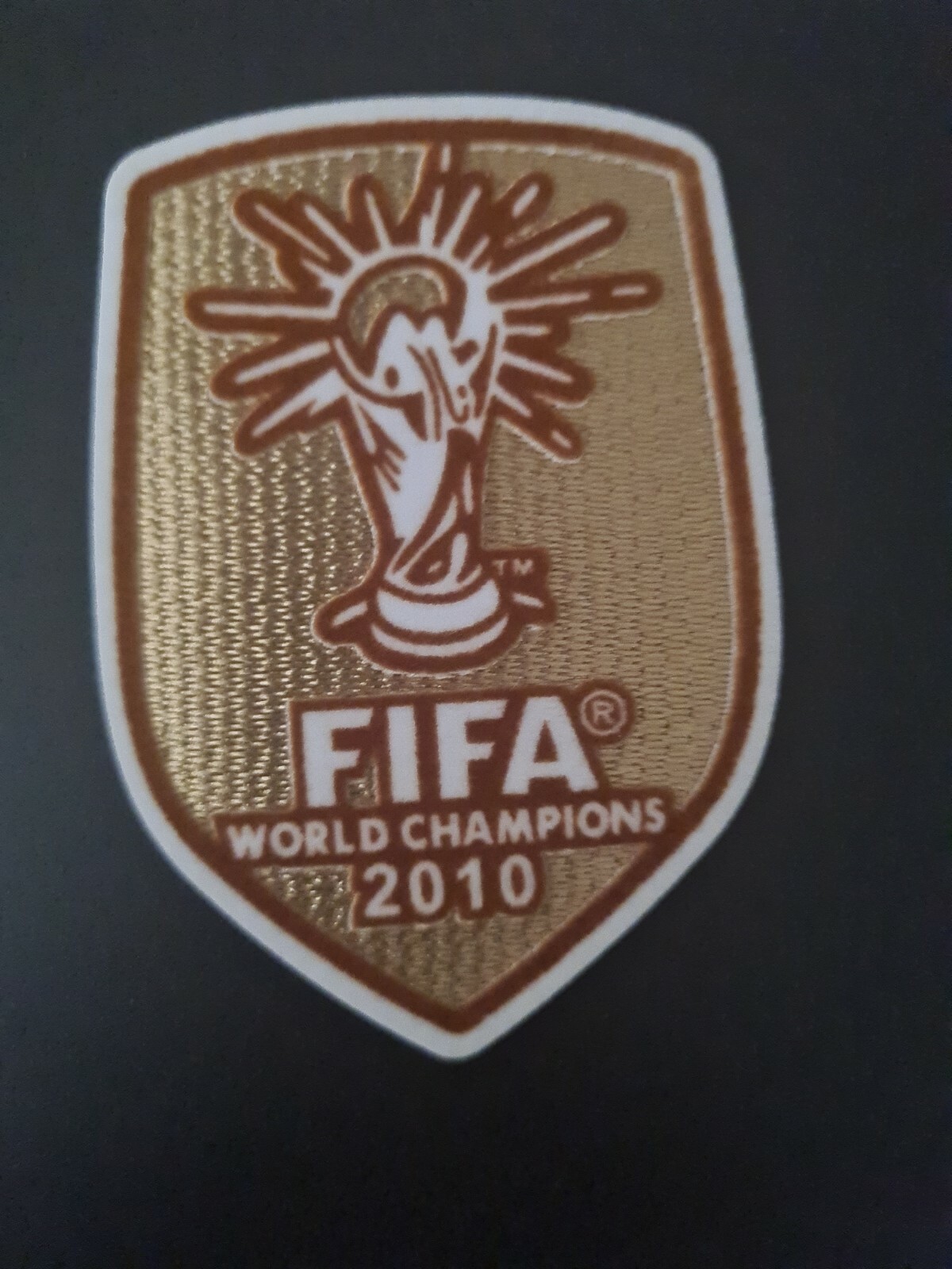 World Cup Champions Winner 2010 patch Spain España Soccer football badge. LOOK!!