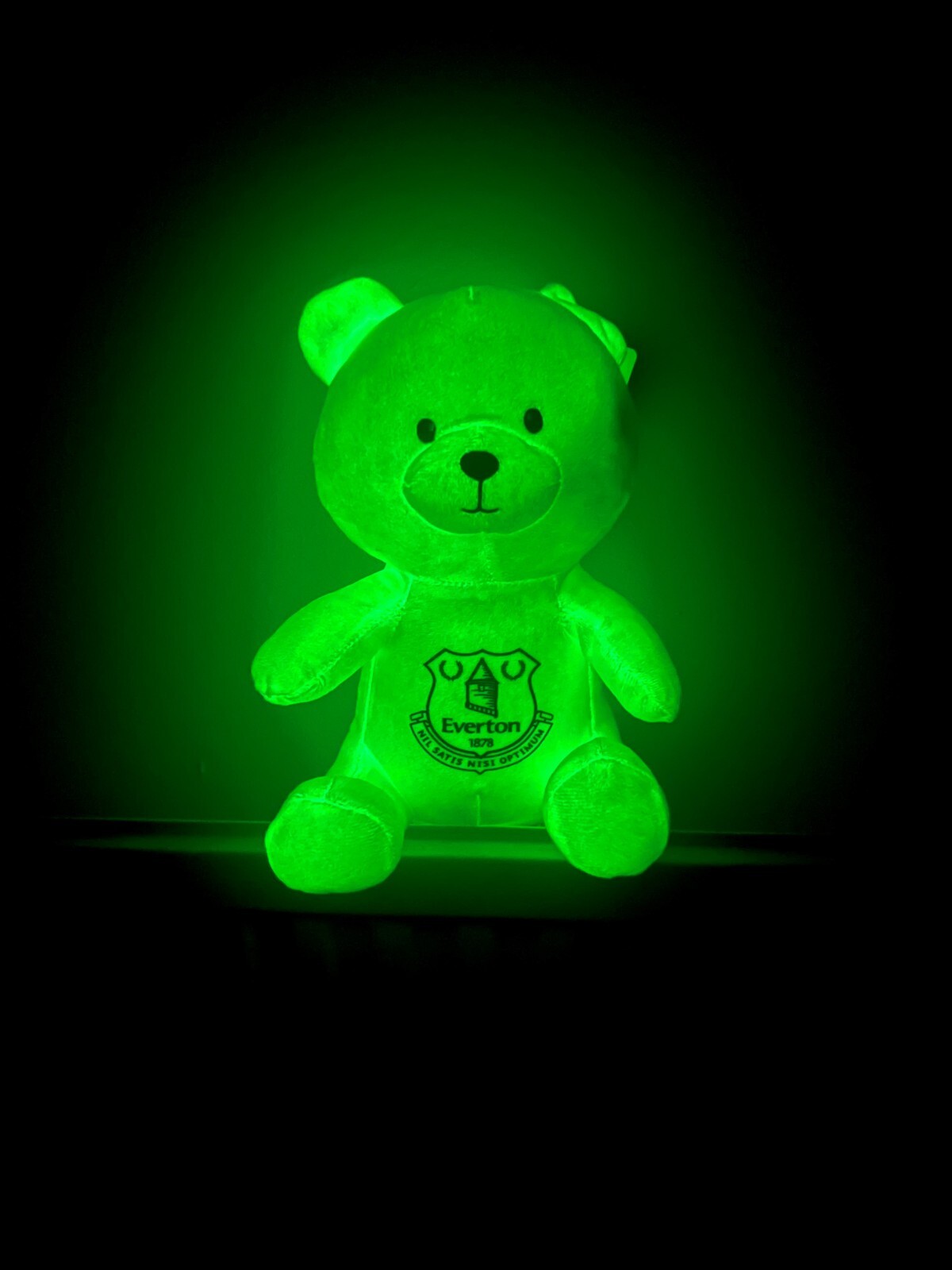 Everton FC Official Glow In The Dark Teddy Bear EFC Gift