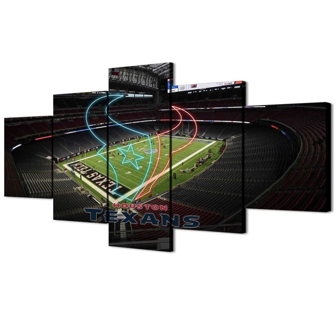 Houston Texans NFL Stadium Wall Art Print, Multicolor Football Decor