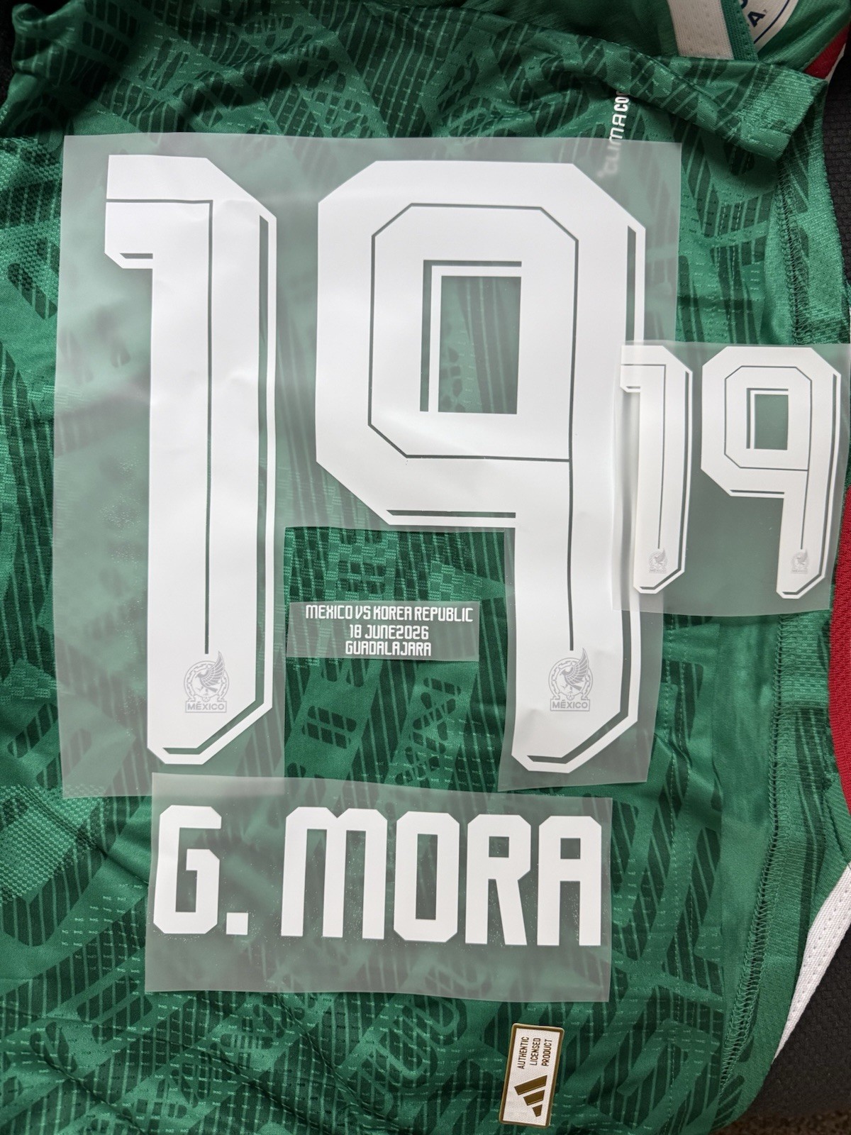 Mexico Third Jersey World Cup Name and Number Set – Iron Pressed G.Mora