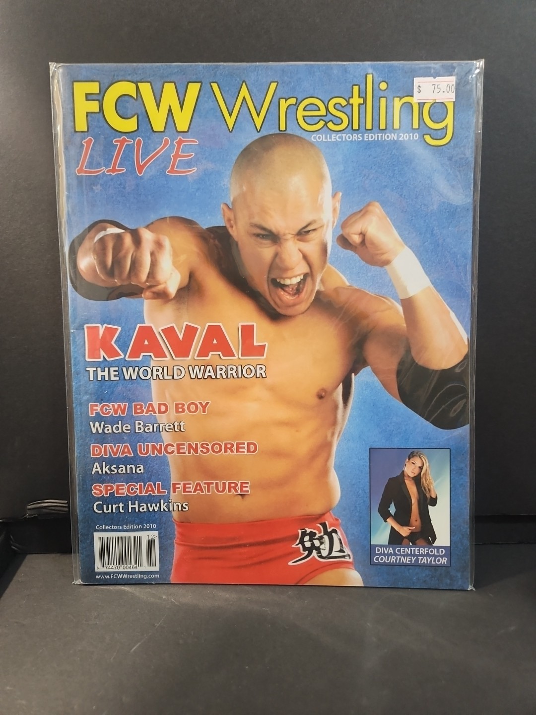 FCW WRESTLING LIVE 2010 MAGAZINE KAVAL DIVA CENTERFOLD COURTNEY TAYLOR