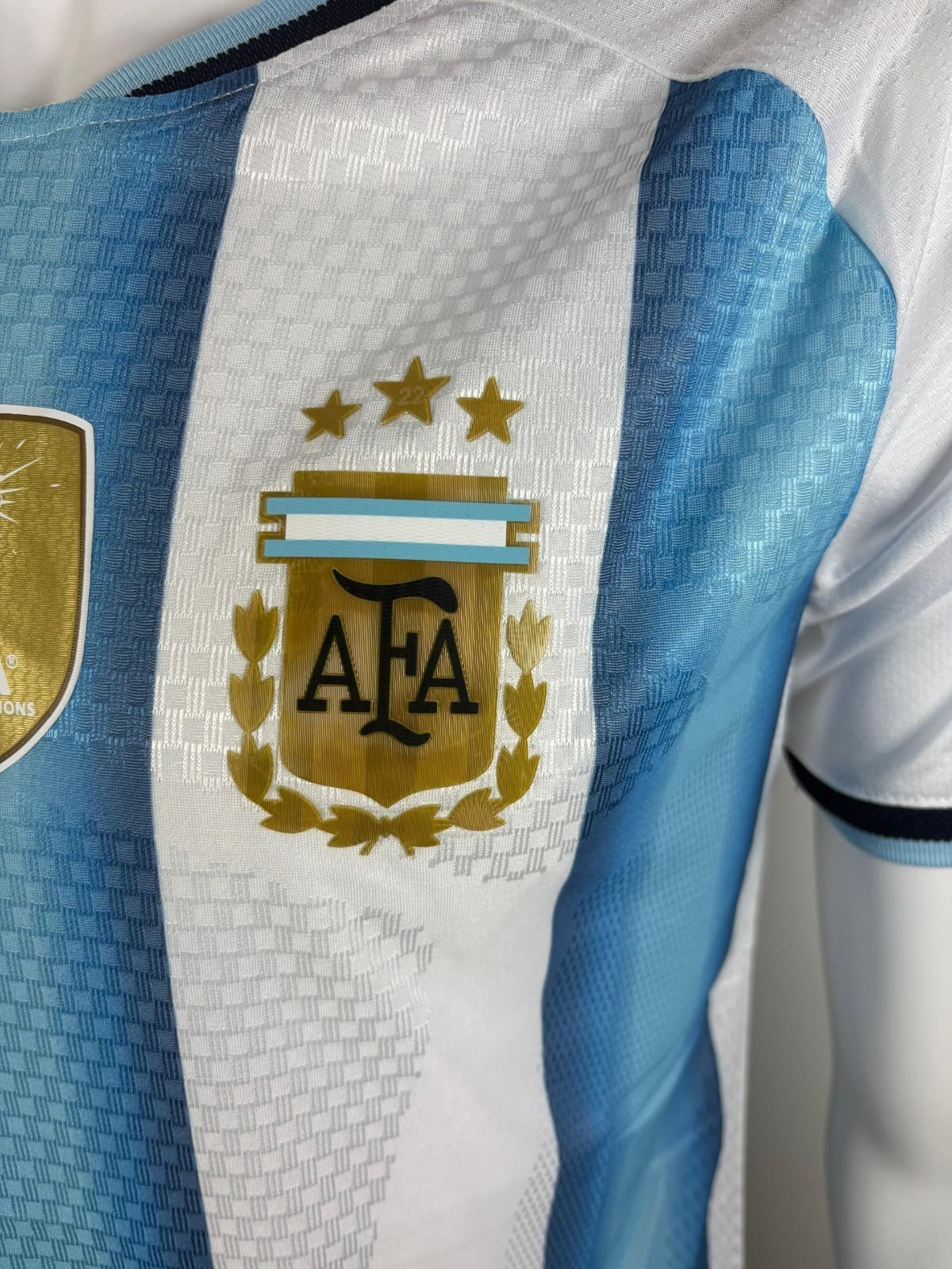 Size L Argentina Player Version Jersey 2026 World Cup Football Shirt