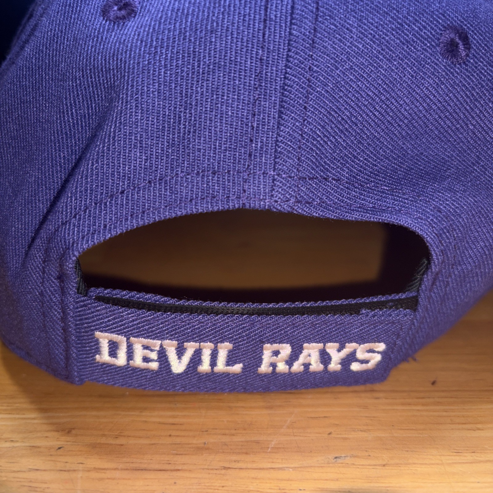 Tampa Bay Devil Rays Hat M/L Strapback Nike Purple Retro Throwback Club Cap NWT
