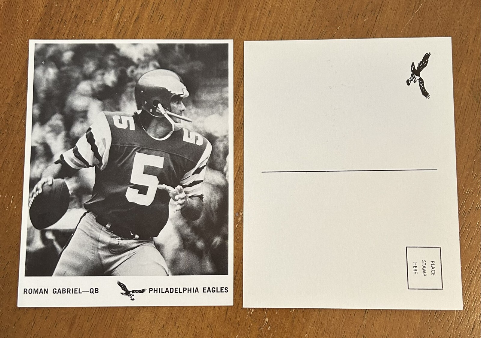 1974 ROMAN GABRIEL PHILADELPHIA EAGLES TEAM ISSUED PLAYER PHOTO POSTCARD ~ RARE