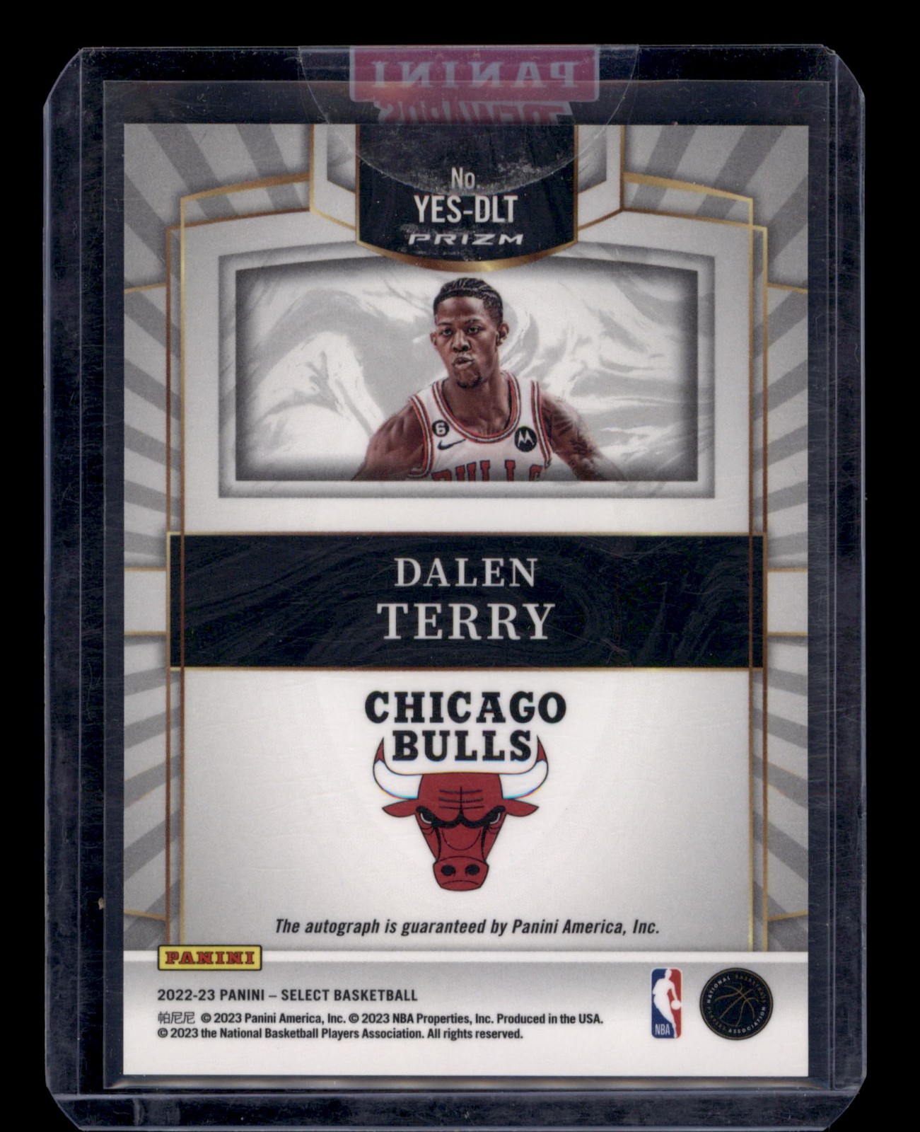 2022-23 Panini Select #YES-DLT Dalen Terry Youth Explosion Signatures