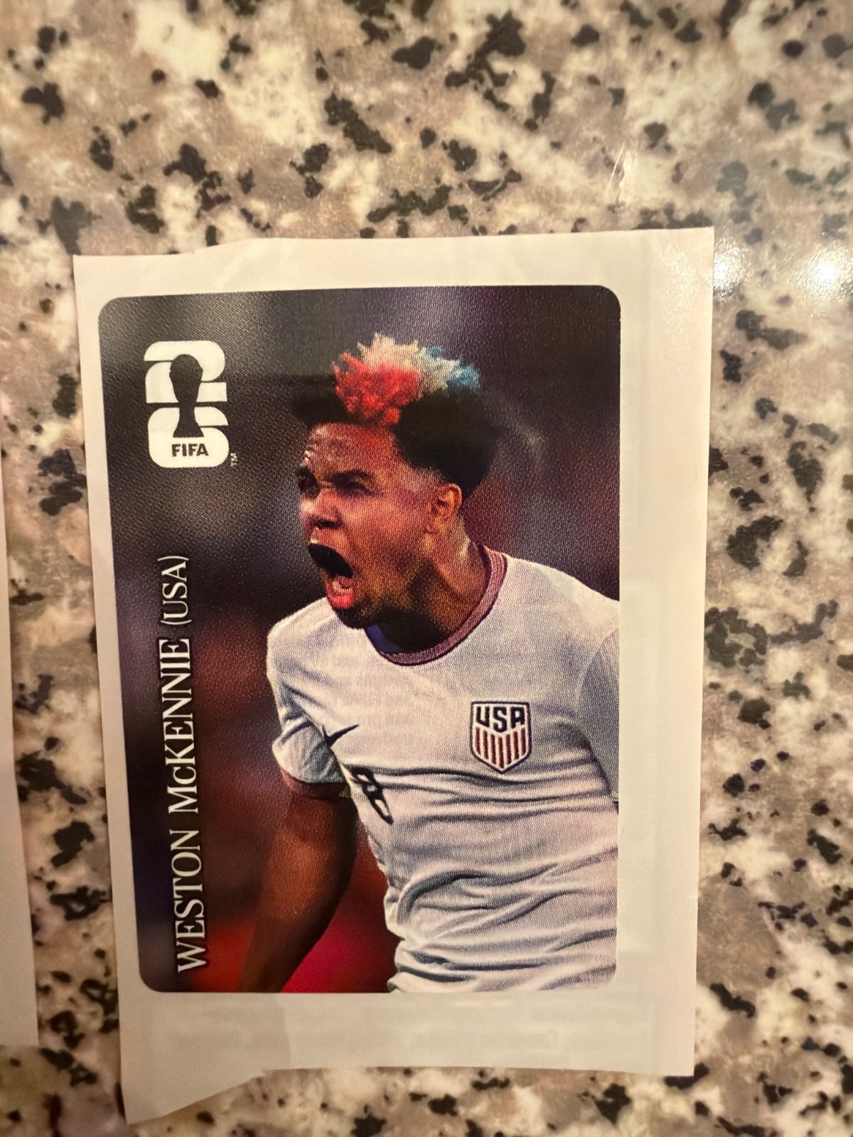 Full Set Panini Coca Cola Stickers World Cup 2026