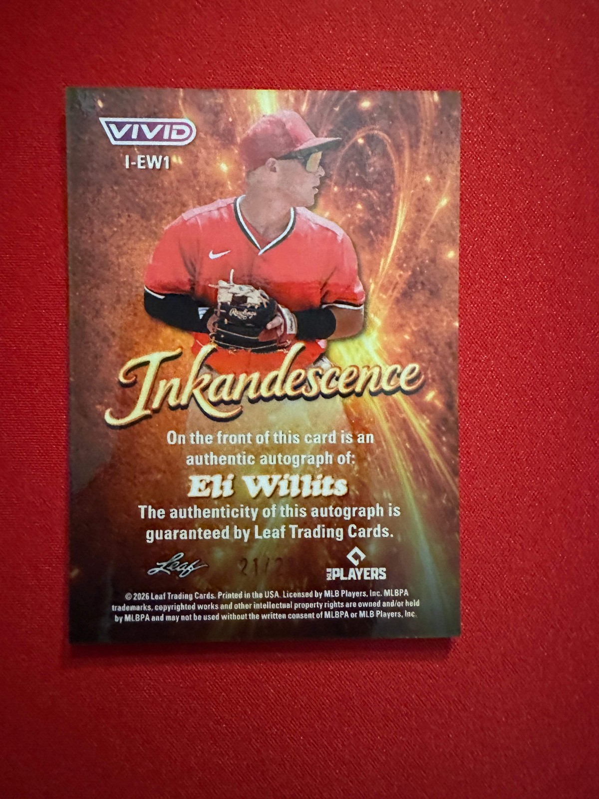 Eli Willits 2026 Leaf Vivid Inkadescence Blue Lazer AUTO /25 Nationals #1 Pick
