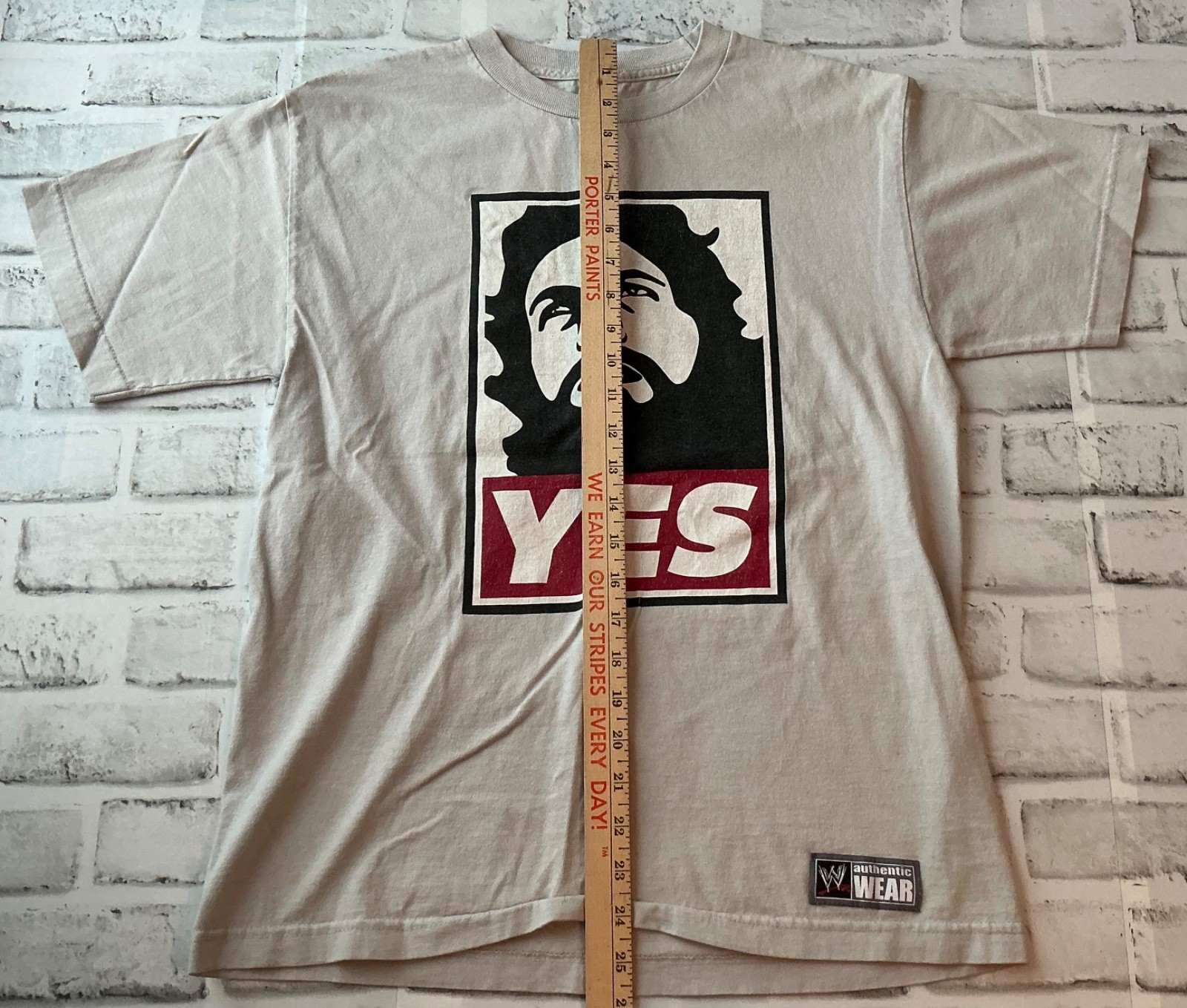 WWE Daniel Bryan YES Movement Authentic T-Shirt Men’s M Grey Wrestling Fan