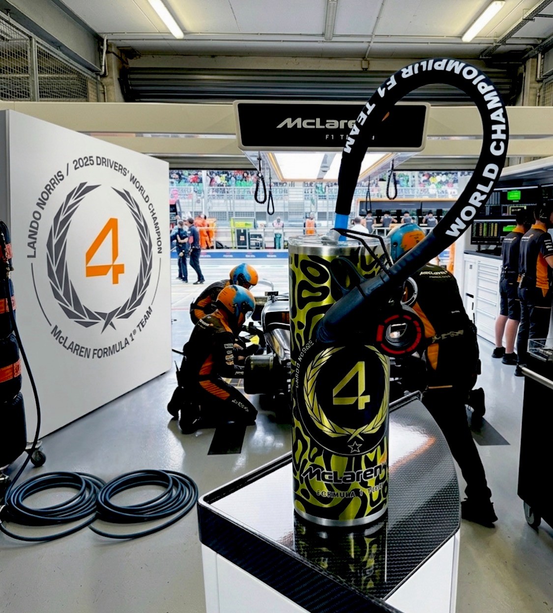 F1 CHAMPION 25